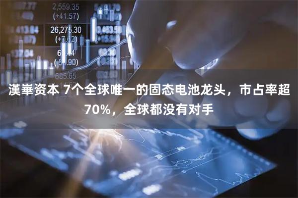 漢崋资本 7个全球唯一的固态电池龙头，市占率超70%，全球都没有对手