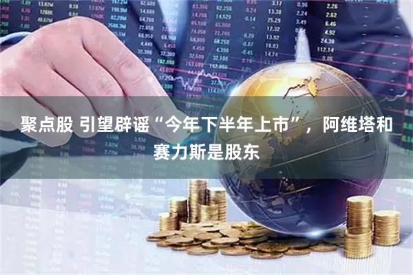聚点股 引望辟谣“今年下半年上市”，阿维塔和赛力斯是股东