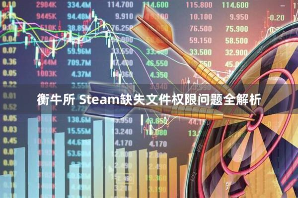 衡牛所 Steam缺失文件权限问题全解析